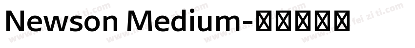 Newson Medium字体转换